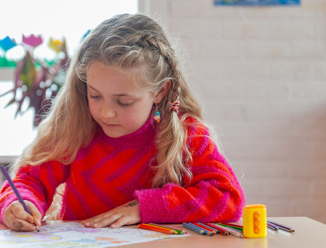 _DSC2511-Enhanced-NR