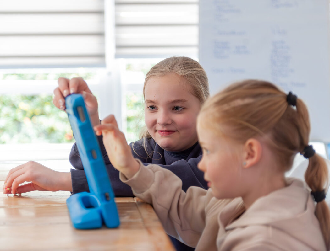 _DSC2473-Enhanced-NR